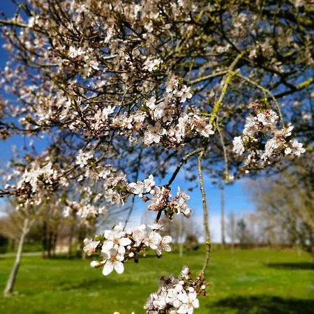 De La Petite Vallee *