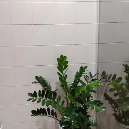 アパート De La Petite Vallee